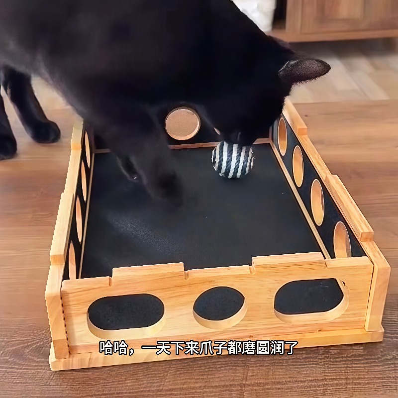 Royi Store Claw Labyrinth Cat  - đánh giá và giá Board Game Store