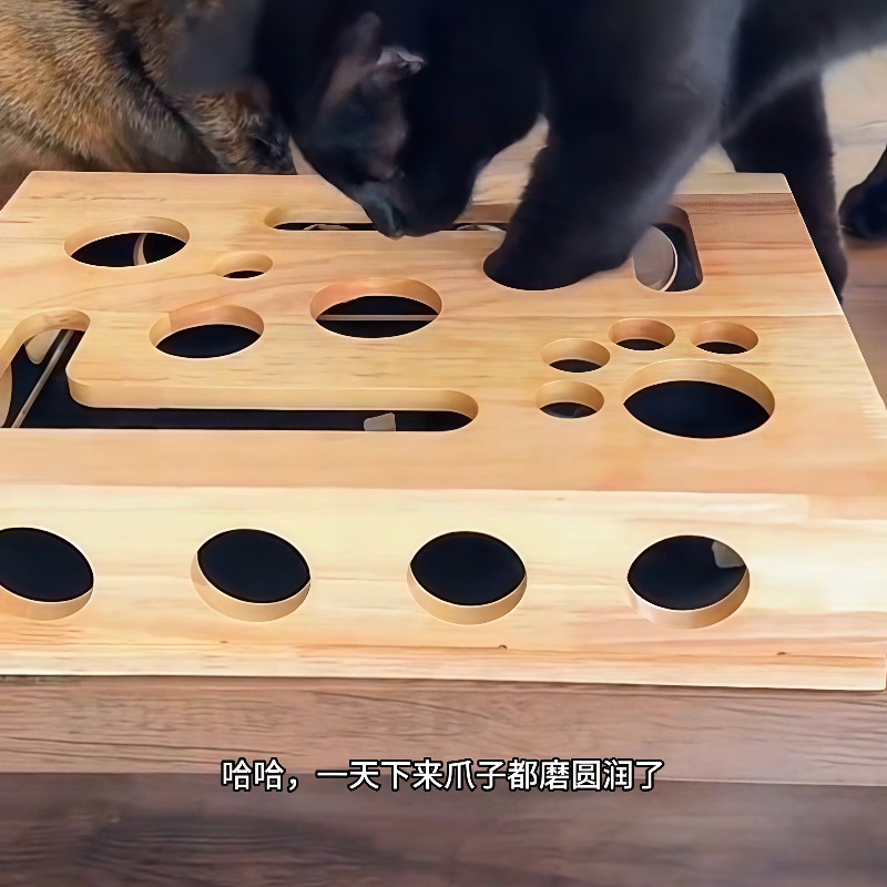 Royi Store Claw Labyrinth Cat  - đánh giá và giá Board Game Store